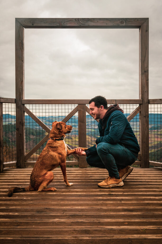 Photographe professionnels portrait reportage autoentrepreneur entreprise lyon animalier